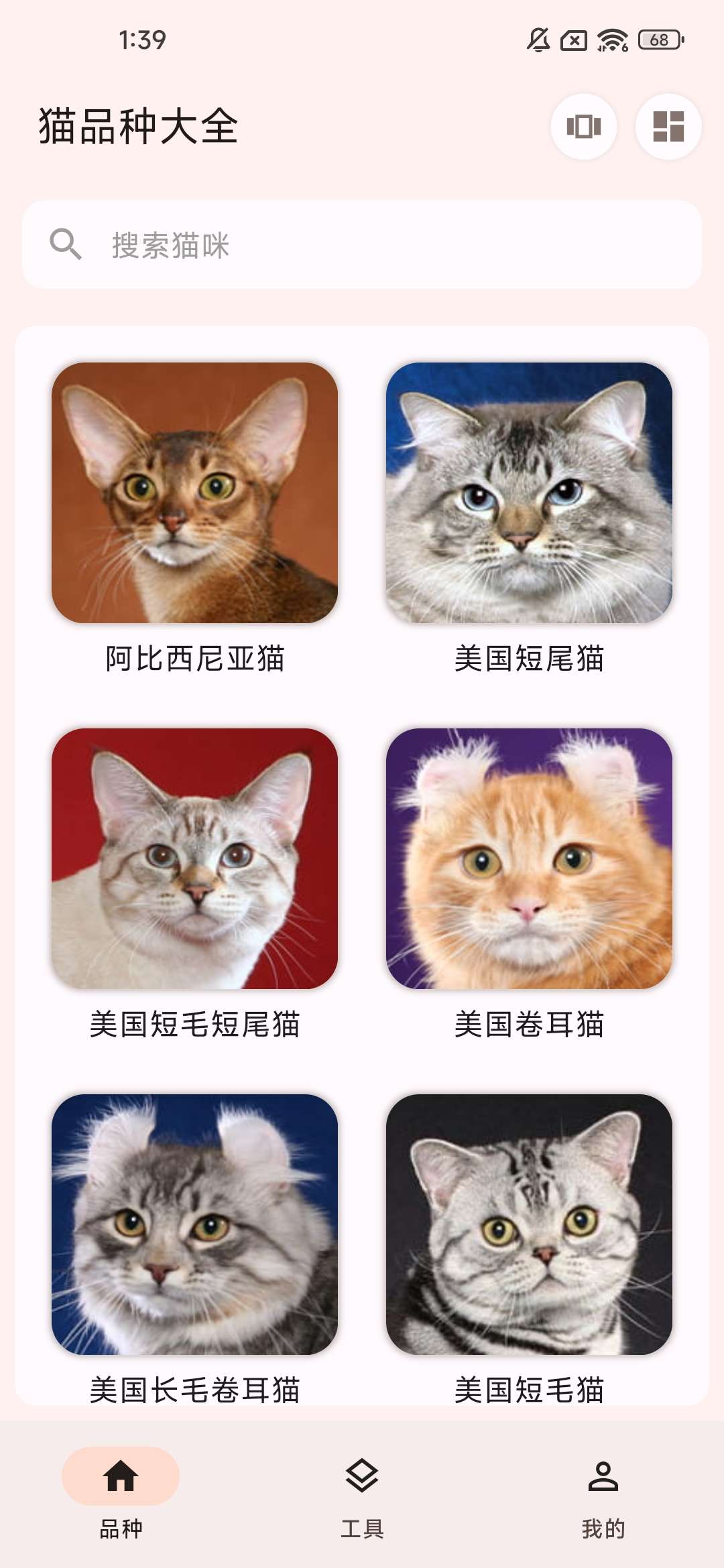 养猫必备神器——快速了解猫猫的品种，帮助你更好地养猫
