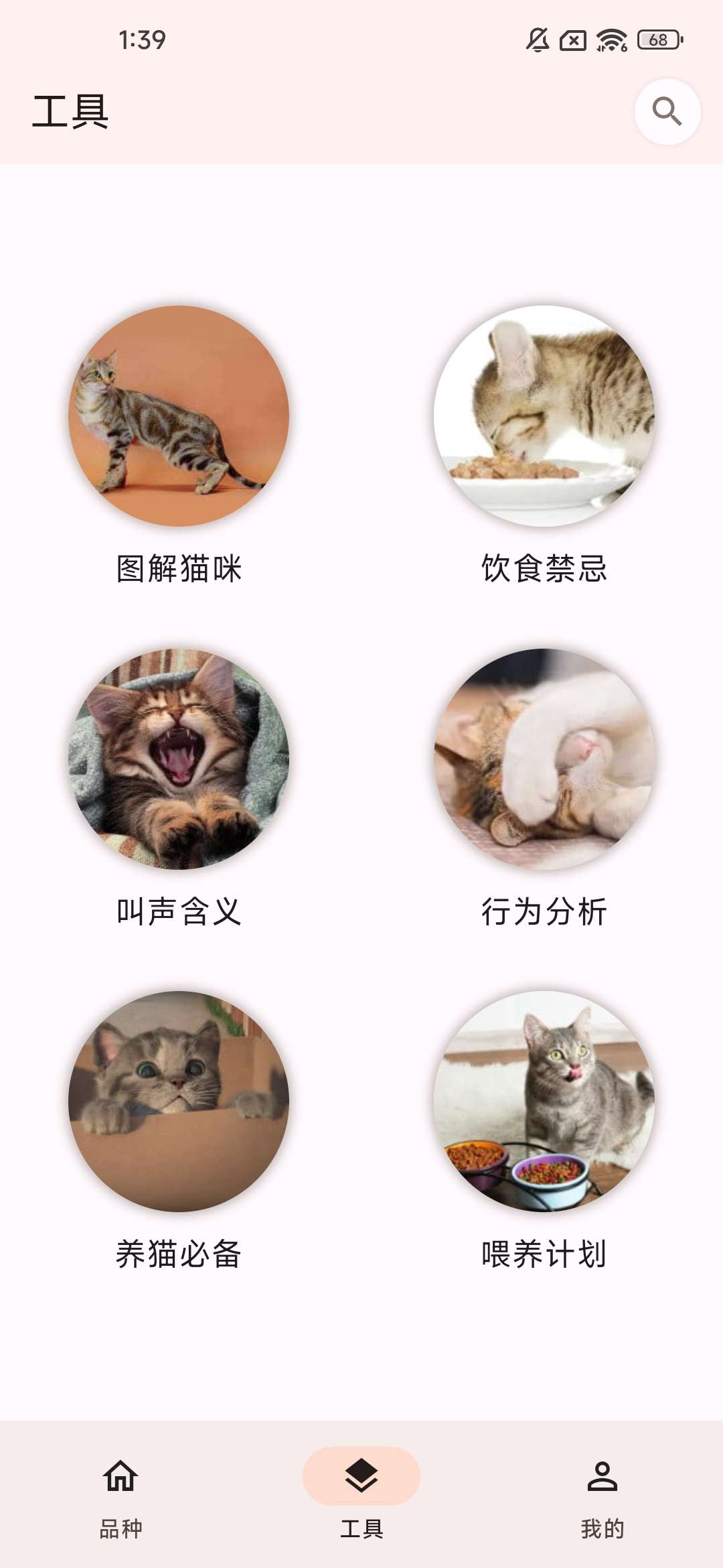养猫必备神器——快速了解猫猫的品种，帮助你更好地养猫