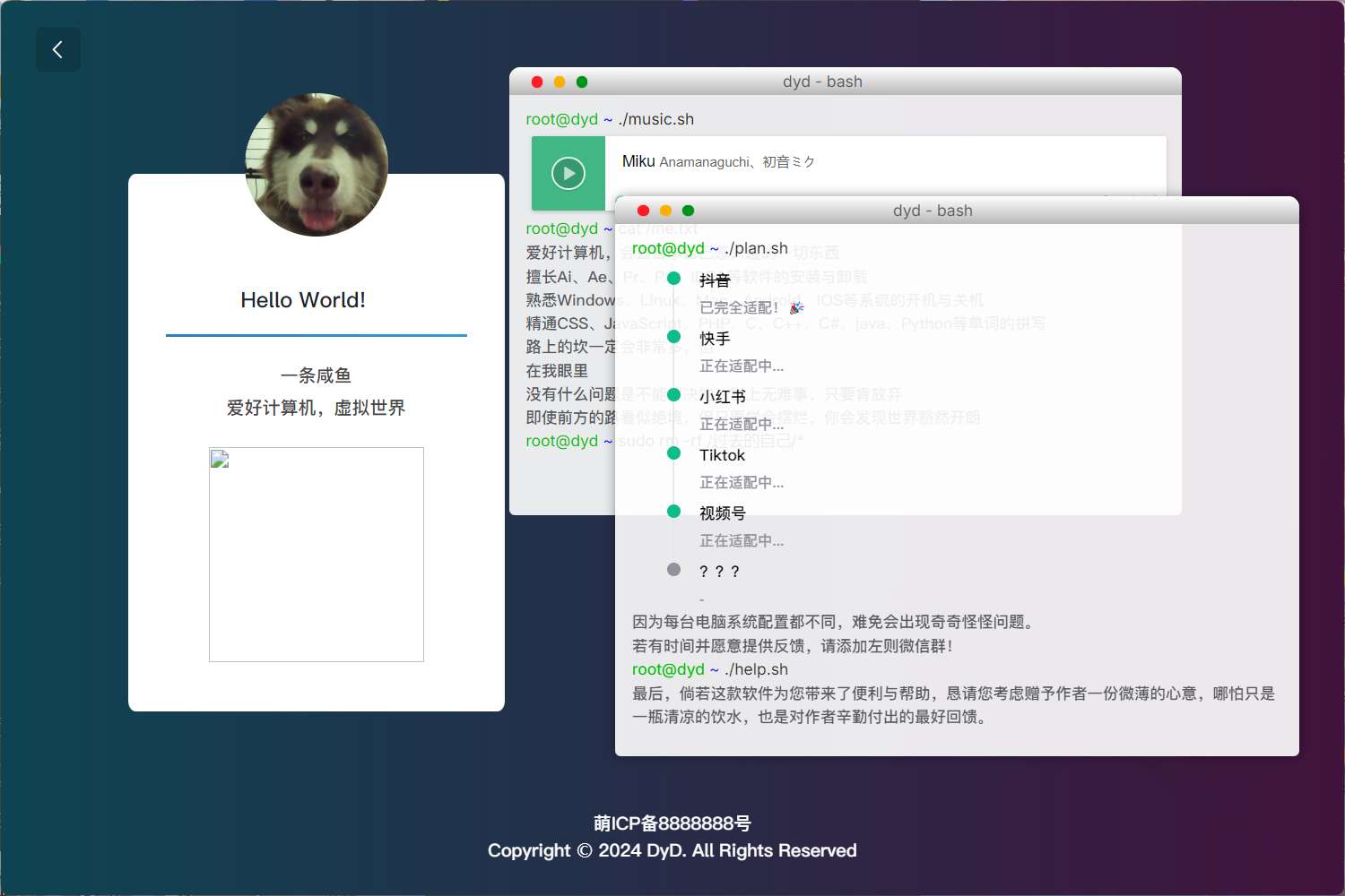 【DyD 多平台批量无水印视频图集下载器】——一键下载,无水印视频